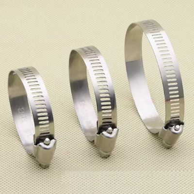 SS 304 roestvrij staal metalen Amerikaanse slangpijp clip zebra worm versneller schroefdrive verstelbaar voor 1/4 tot 12 inch