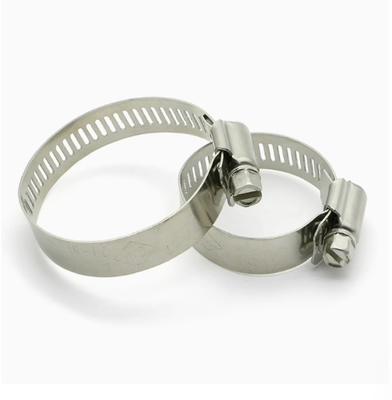 SS 304 roestvrij staal metalen Amerikaanse slangpijp clip zebra worm versneller schroefdrive verstelbaar voor 1/4 tot 12 inch