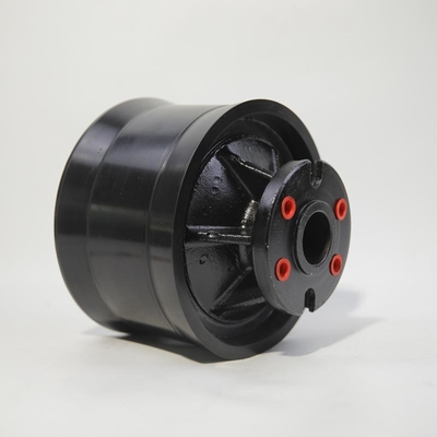 Putz Betonpompondelen zuiger Ram Dn230 G
